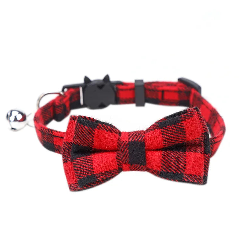 Collar gato con cascabel